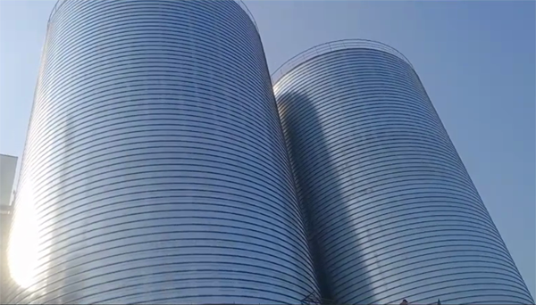 隆子2座混凝土高架卷板仓